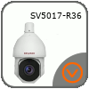 Beward SV5017-R36