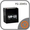 FIAMM FG 20451