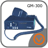 Motorola GM300