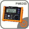 PeakMeter PM5203