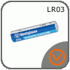 Westinghouse LR03-Dynamo