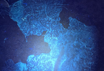 ���������������� ���� ������