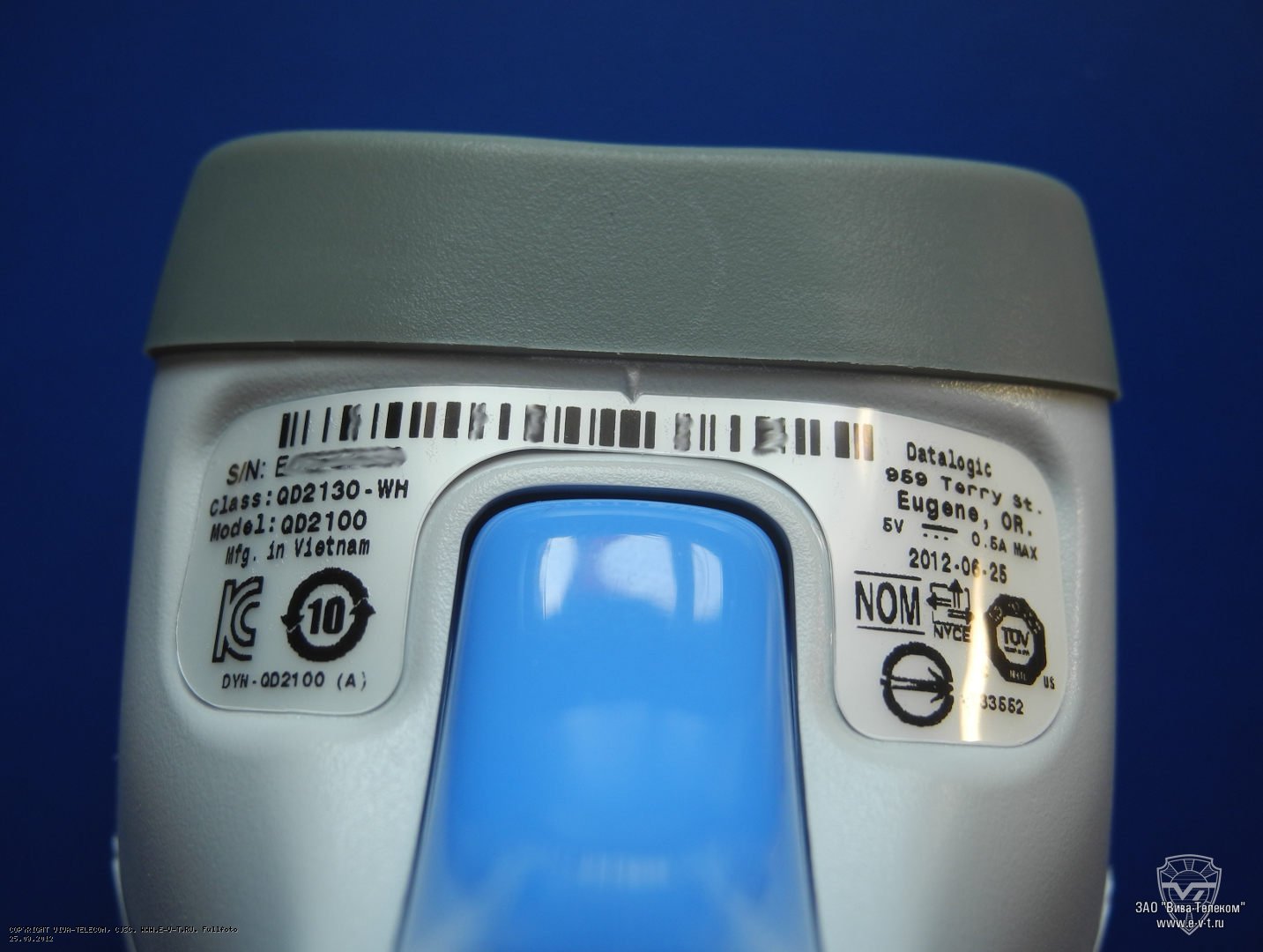 ��� ������� �����