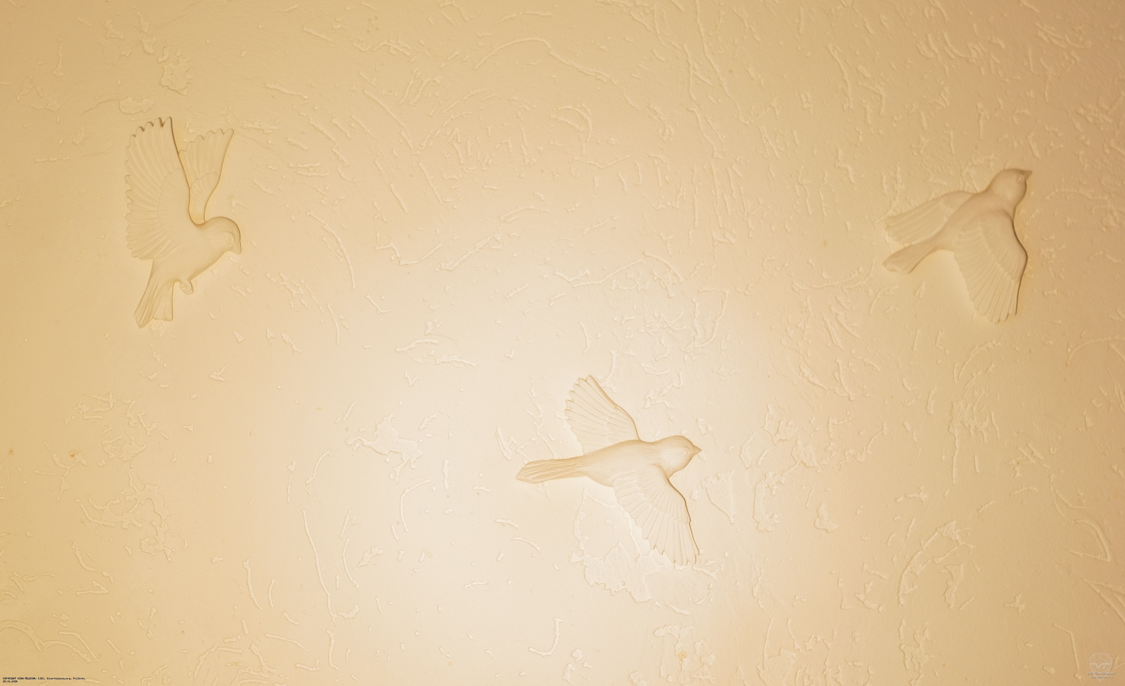 Свет фонаря Сила света LS-TR2. Сила света LS-TR2 Свет фонаря Сила света LS-TR2