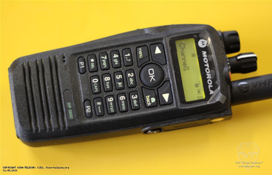    Motorola DP3600