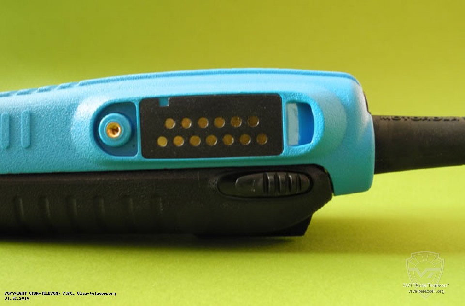 ������������ ������ ������������