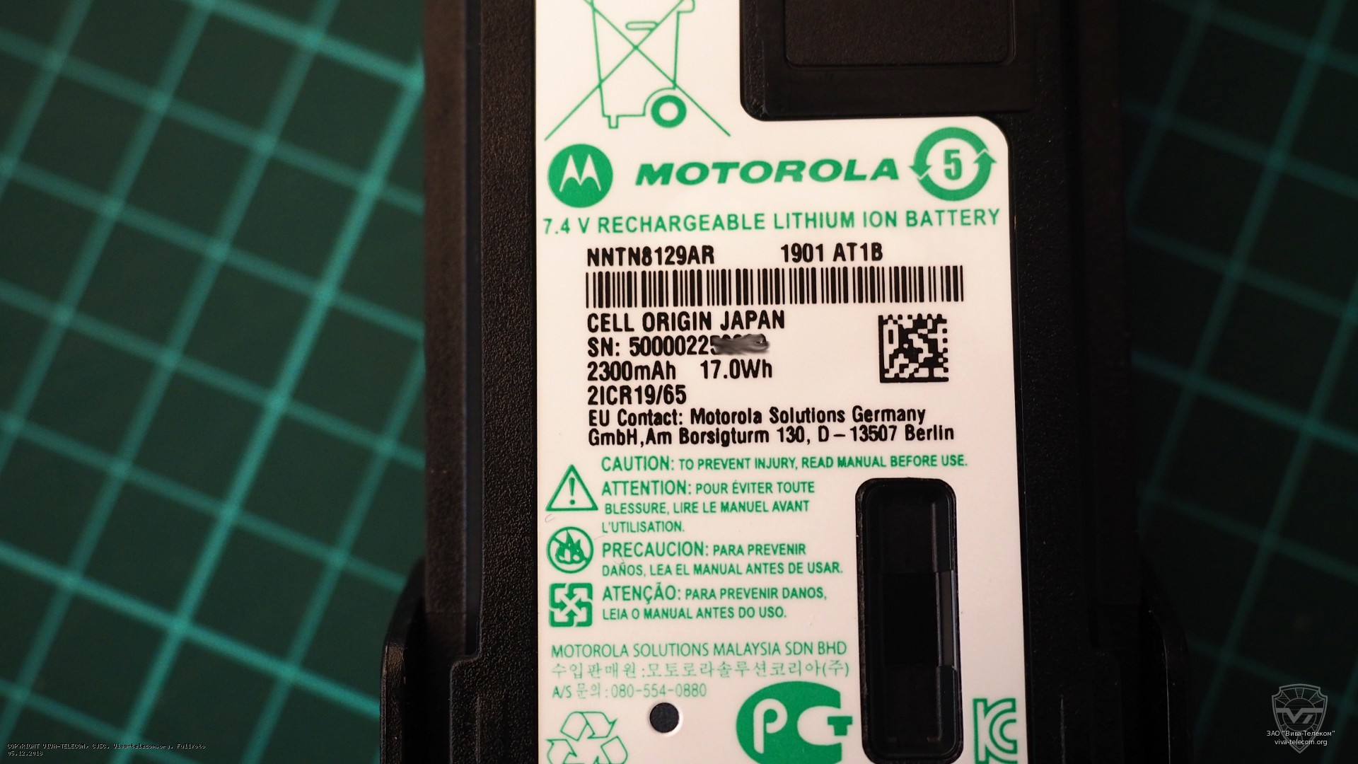    Motorola NNTN8129