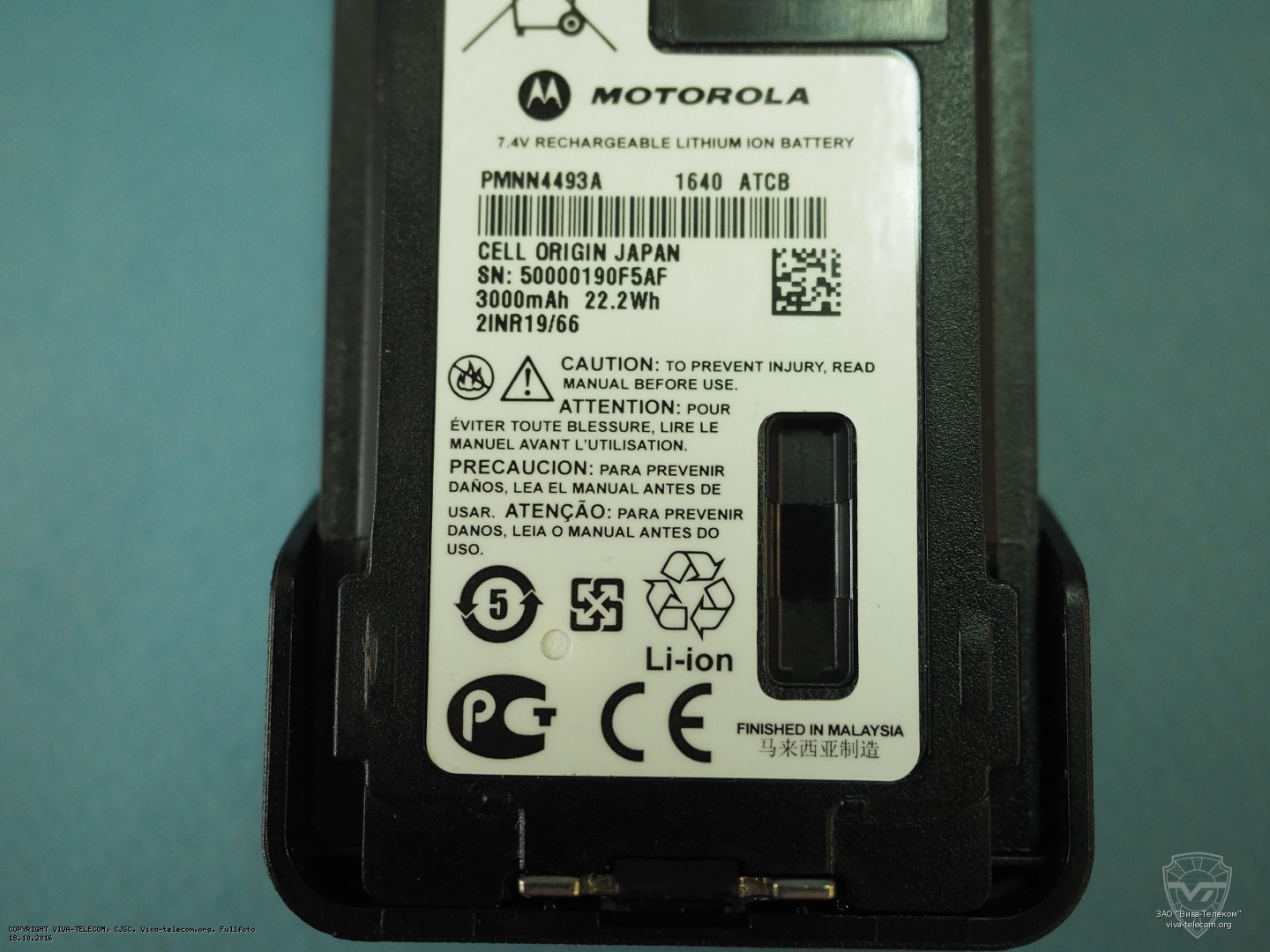    Motorola PMNN4493
