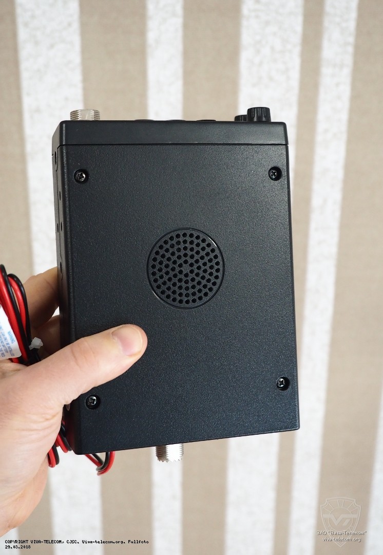 ��� ������������ President Teddy �����