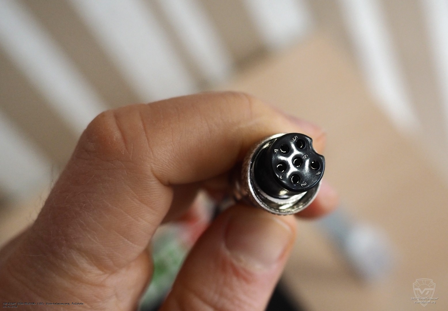 ������ ��������� ������������ President Teddy