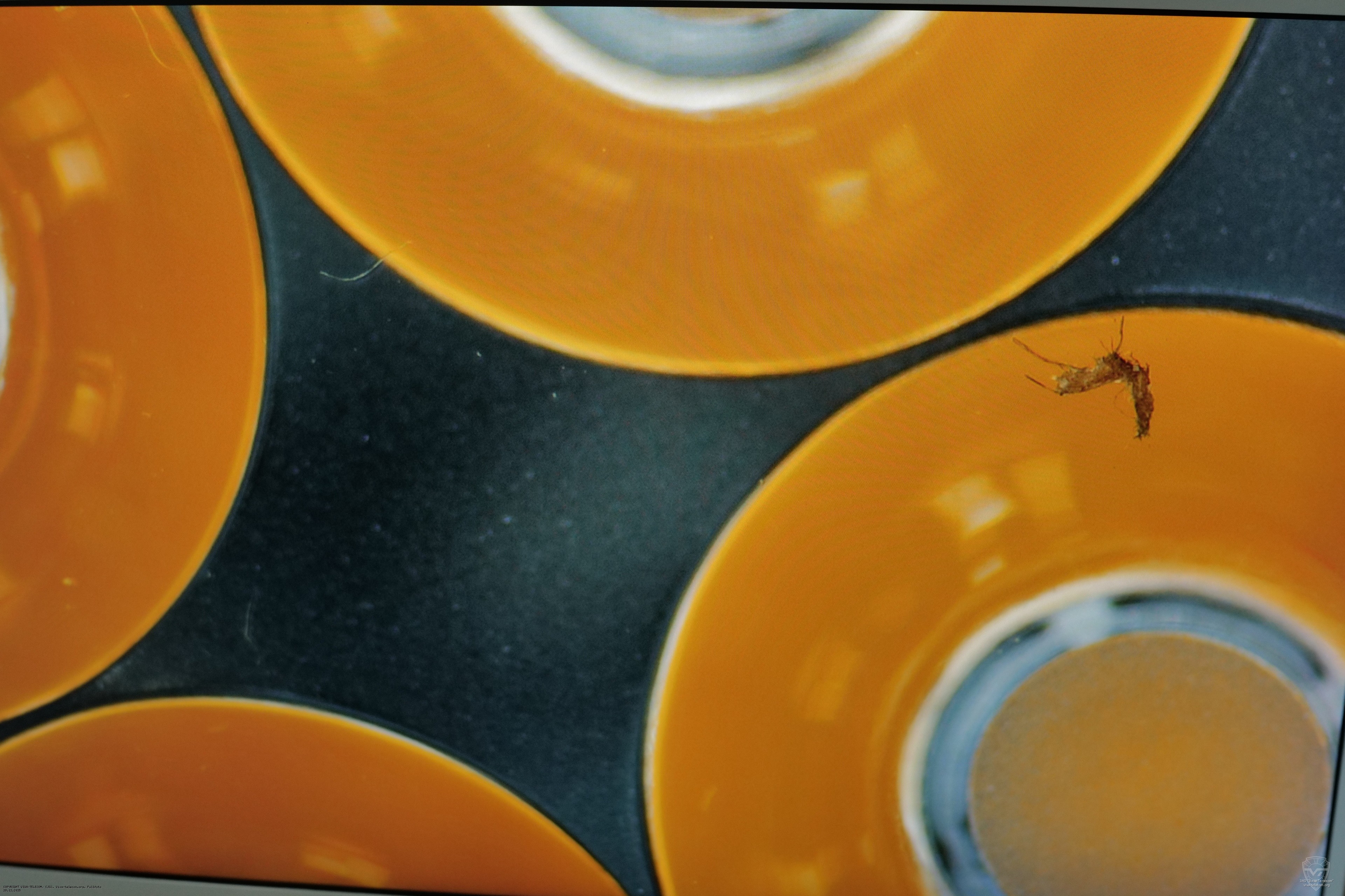 �������� ������ ������� Wurkkos TS26S