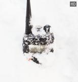 ���������������� ������������ Entel