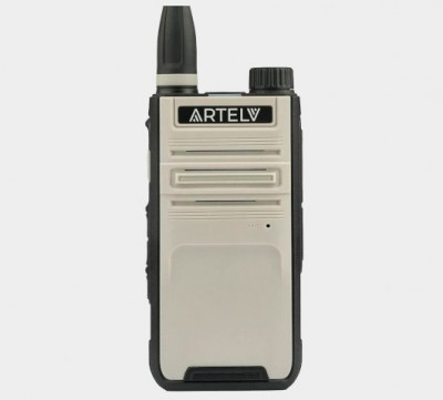 Artelv ����-�2