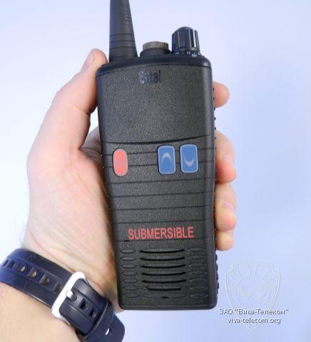 ������������ Entel � ���� ���������� ��� 