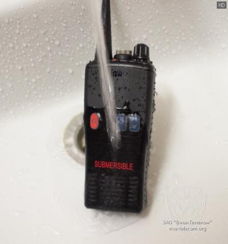 ������������ Entel � ����