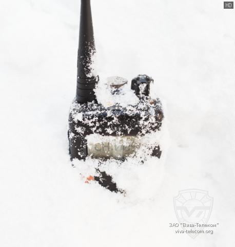 ���������������� ������������ Entel