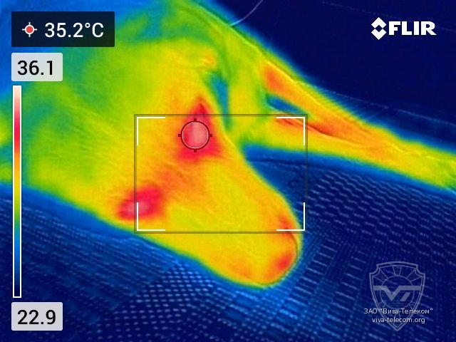 ����������� ����������� Flir C5