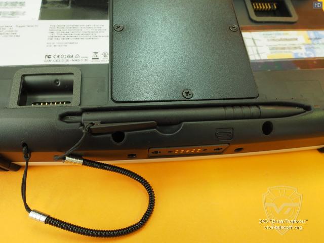 ������ ��������� � ���� ��� ���������������