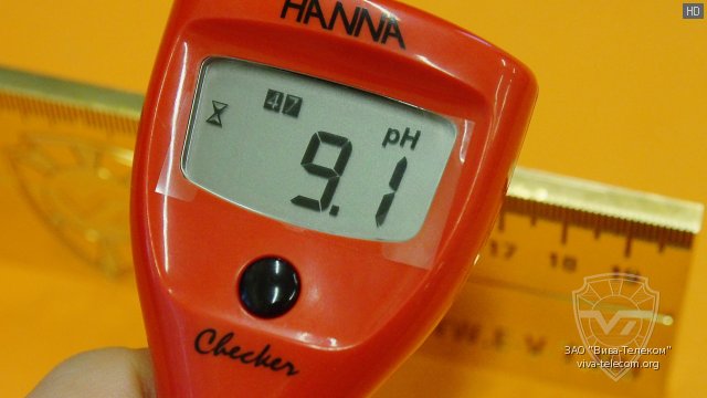   pH- HANNA Instruments HI98103 Checker 1