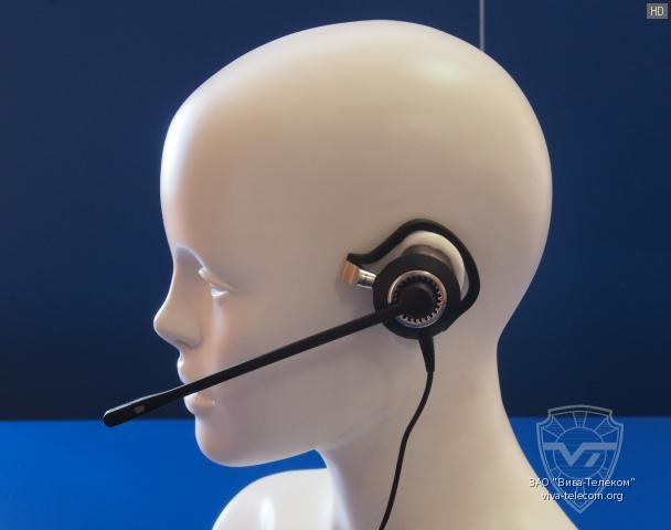 ��� ��������� Biz-2400 �� ��������