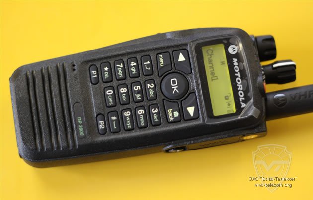    Motorola DP3600