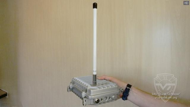 ������������ � ��������