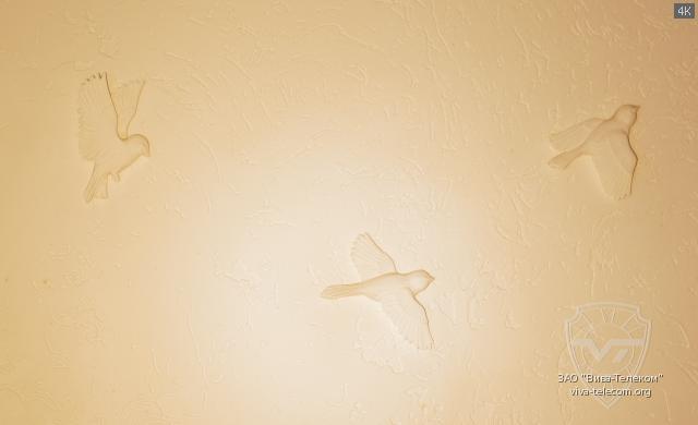 ���� ������ ���� ����� LS-TR2