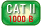        II     1000 .